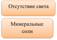 Отсутствие света,Минеральные соли