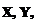 Text Box: X, Y, Z