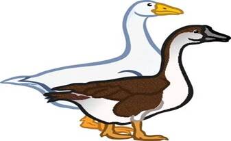 https://avatars.mds.yandex.net/i?id=6f7a7571c61c93070da447d727fd71ba51073820-9873252-images-thumbs&n=13