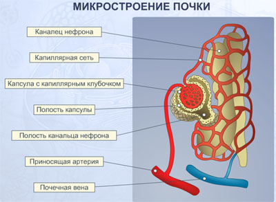 https://xn--i1abbnckbmcl9fb.xn--p1ai/%D1%81%D1%82%D0%B0%D1%82%D1%8C%D0%B8/641972/img3.jpg