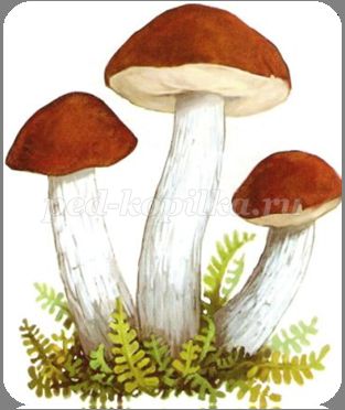 http://ped-kopilka.ru/upload/blogs/19069_1ed887cf36aede2e11aca184a453f3a6.png.jpg