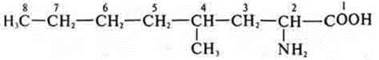 https://compendium.su/chemistry/11klas/11klas.files/image947.jpg