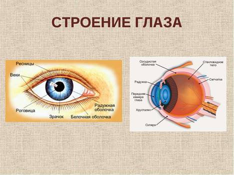 https://grizun-off.ru/wp-content/uploads/d/f/0/df001310614c13711e3659584f3c8961.jpeg