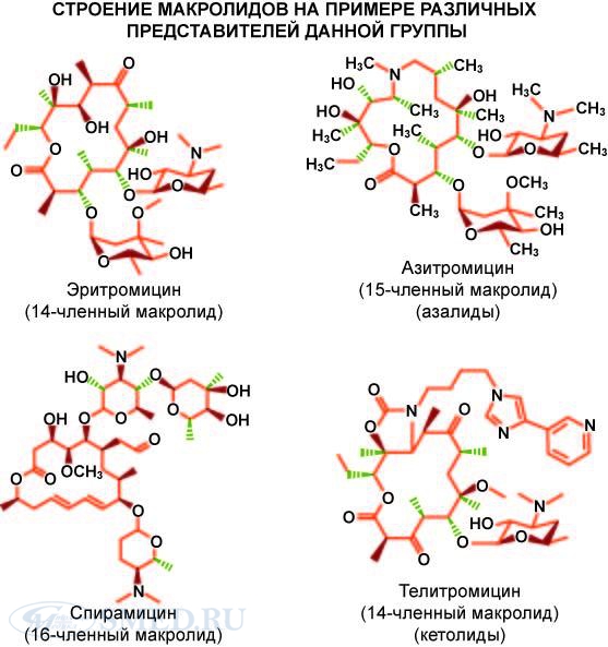 Макролиды и азалиды