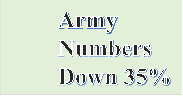 Army Numbers Down 35%