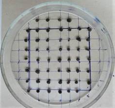 Изображение выглядит как внутренний, стол

Автоматически созданное описание