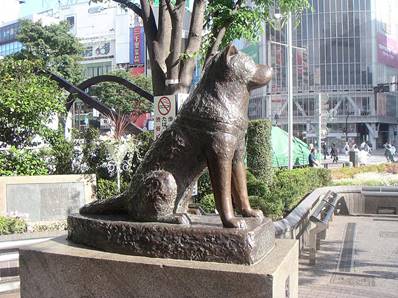 https://spi4.itvnet.lv/upload/articles/39/398816/images/Hachiko-3.jpg