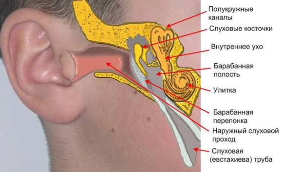 http://www.nashamedicine.ru/images/stories/yho.jpg