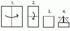 232672