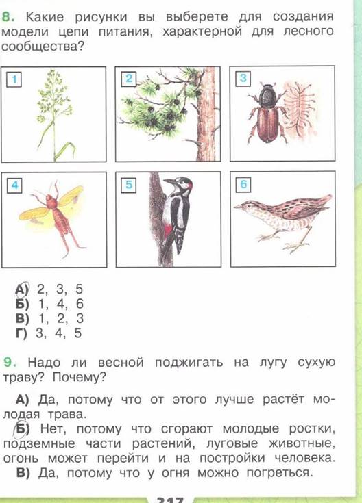 Какие рисунки вы выберете для составления модели цепи питания характерной для тайги 4 класс