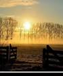 https://avatars.mds.yandex.net/i?id=8b9579c7a0ea596337d7765a2491604060198386-12661757-images-thumbs&n=13