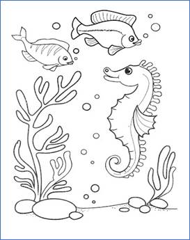 Рисунки карандашом морской конек (29 фото) 🔥 Прикольные картинки и юмор
