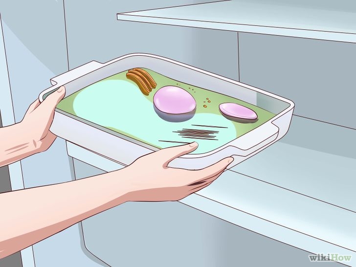 Изображение с названием Build 3D Models of Animal and Plant Cells Step 9