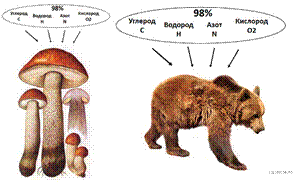 https://bio-oge.sdamgia.ru/get_file?id=20731