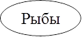 Рыбы
