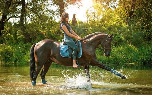 http://s1.1zoom.me/b5050/150/Horses_Water_Jeans_Spray_507044_1280x800.jpg