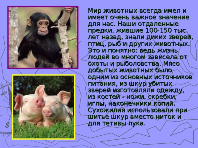 Роль животных в жизни человека" - биология, презентации