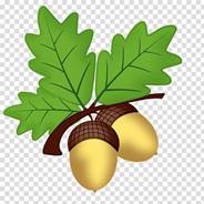 https://c7.hotpng.com/preview/372/278/501/acorn-oak-computer-icons-clip-art-acorn.jpg