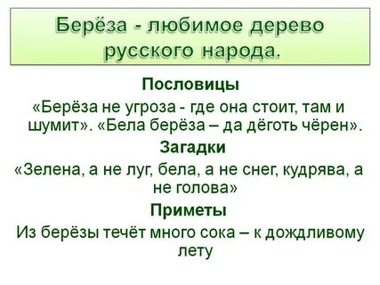 Пословицы &quot;Берёза не угроза - где она стоит, там и шумит&quot;. 