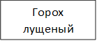 Горох лущеный