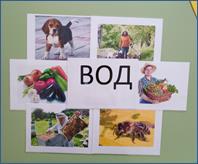 photo_2026-02-12_19-35-12 (3)