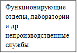 Функционирующие отделы, лаборатории и др. непроизводственные службы