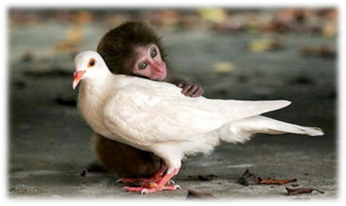 http://rishikajain.com/wp-content/uploads/2012/07/320451_390475771001190_1735117_n.jpg