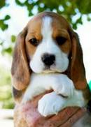 https://avatars.mds.yandex.net/i?id=7aa4845806a430592ca3a652a4f6d568733b220f-5141542-images-thumbs&n=13