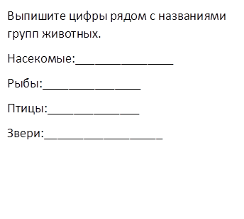 Выпишите цифры рядом с названиями групп животных.
Насекомые:_______________
Рыбы:_______________
Птицы:______________
Звери:__________________
