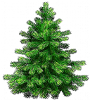 https://c7.hotpng.com/preview/741/1013/72/pine-tree-clip-art-transparent-pine-tree-png-clipart-picture.jpg