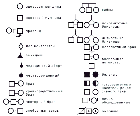 Методика составления родословной