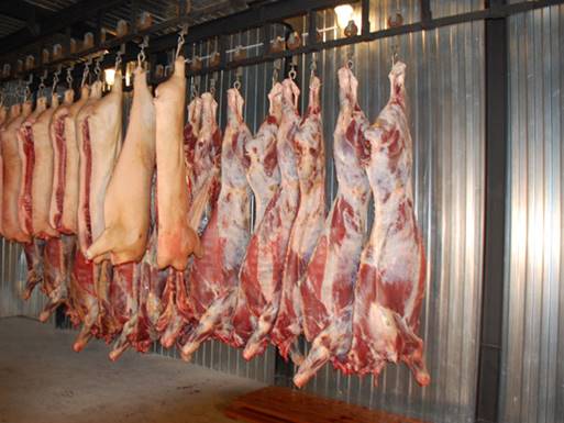 Организация работы мясного цеха