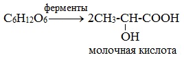 https://himija-online.ru/wp-content/uploads/2017/10/%D0%BC%D0%BE%D0%BB%D0%BE%D1%87%D0%BD%D0%BE%D0%BA%D0%B8%D1%81%D0%BB%D0%BE%D0%B5-%D0%B1%D1%80%D0%BE%D0%B6%D0%B5%D0%BD%D0%B8%D0%B5.jpg