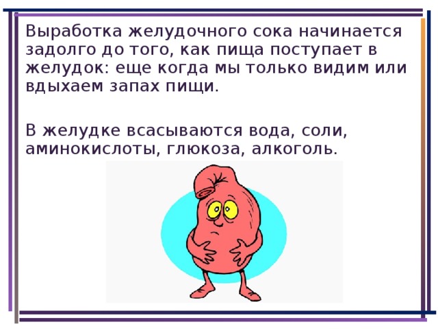 Выработка желудочного сока начинается задолго до того, как пища поступает в желудок: еще когда мы только видим или вдыхаем запах пищи. В желудке всасываются вода, соли, аминокислоты, глюкоза, алкоголь.