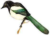 сканирование0089