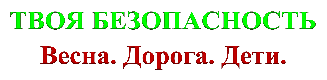 ТВОЯ БЕЗОПАСНОСТЬ
Весна. Дорога. Дети.
