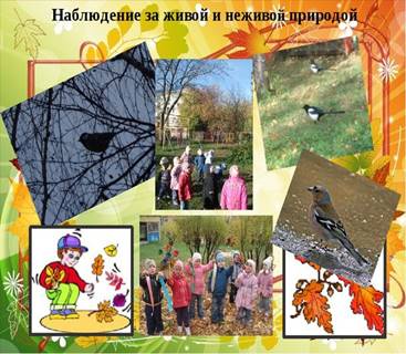 https://ds03.infourok.ru/uploads/ex/07af/000314ee-c2600dfc/640/img9.jpg