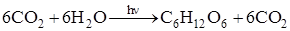 https://prob-ent.testcenter.kz/tests/11D2F911-D4D2-48A3-BD59-CBED15E00AD2/015657.files/image001.png