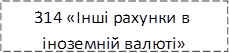 314 «Інші рахунки в іноземній валюті»