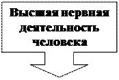 Выноска со стрелкой вниз: Высшая нервная деятельность человека


