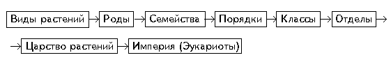 http://bio.1september.ru/2005/13/10.gif