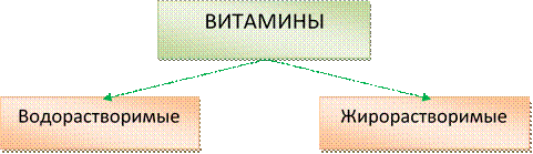 ВИТАМИНЫ,Водорастворимые,Жирорастворимые