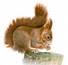 http://im0-tub-ru.yandex.net/i?id=363127819-52-72