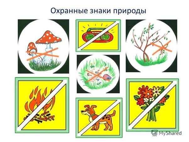 https://fsd.videouroki.net/html/2018/04/22/v_5adc7804342f9/99714822_6.jpeg