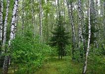 Описание: C:\Documents and Settings\Admin\Мои документы\Downloads\8a721424ed.jpg