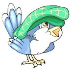 BIRD355