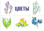 https://avatars.mds.yandex.net/i?id=dd78cc29f16853f8bc3c2881a10592e0f4dbc4d1-9173887-images-thumbs&n=13