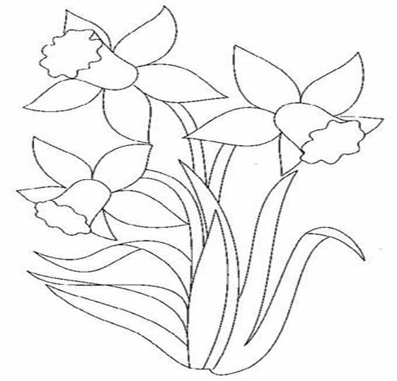 Флори де Колорат