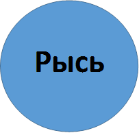 Рысь