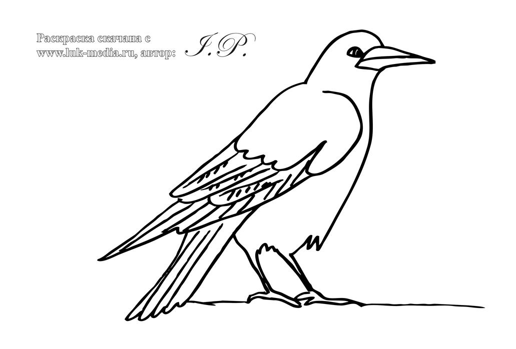 http://luk-media.ru/raskraski/139_1.gif
